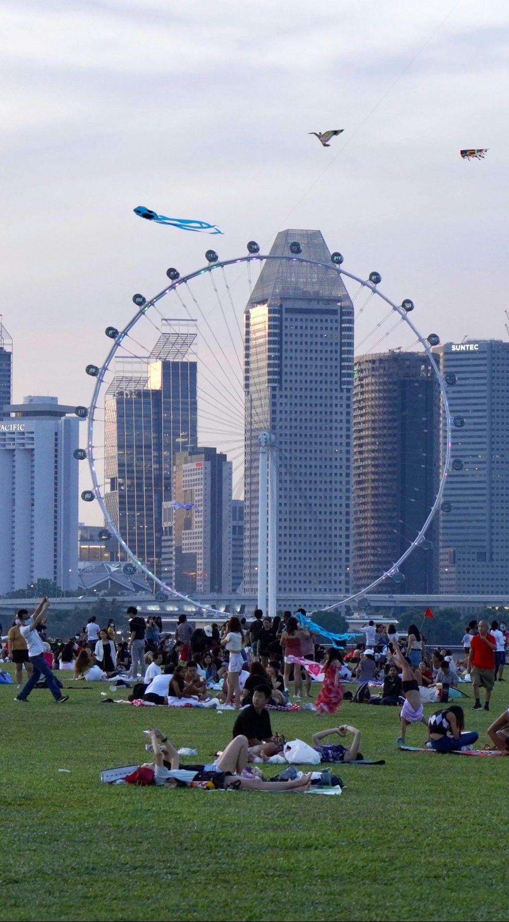 Singapore Flyer with City Skyline