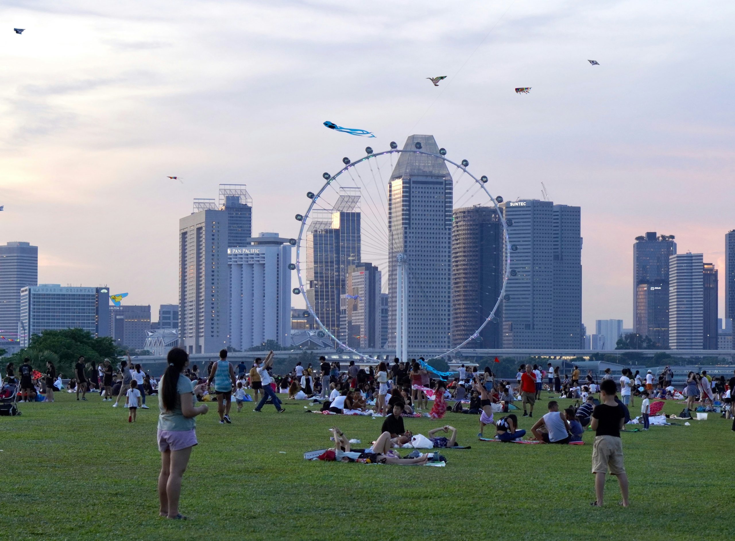 Singapore Flyer with City Skyline